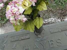 Vera E Hayes Vera E Hayes