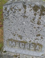Vera McCrea
