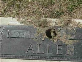 Verda B Allen Verda B Allen