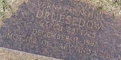 Verna Ann Hill Druesedow