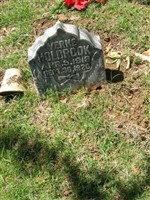 Verne Holbrook
