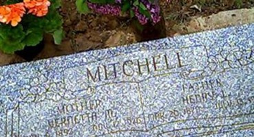 Vernetta Marett Mitchell