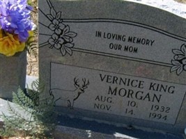 Vernice Morgan