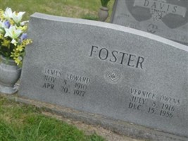 Vernice Owens Foster