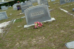Vernice Stella Kelly Adams Vernice Stella Kelly Adams