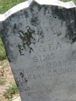Vernie A. Sims