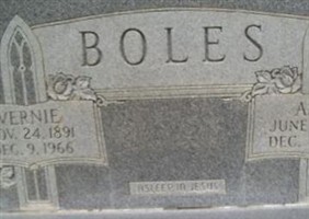 vernie boles vernie boles