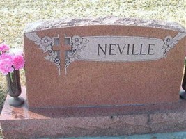 Vernita R. Neville Vernita R. Neville