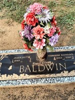 Vernon Edward Baldwin, Jr Vernon Edward Baldwin, Jr