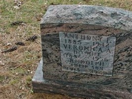Veronica A. Konkoski Veronica A. Konkoski