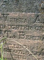 Versia A. Willingham Versia A. Willingham