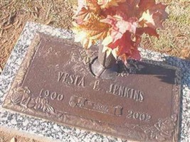 Vesta E Jenkins