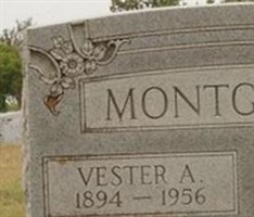 Vester A. Montgomery
