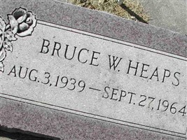 Vet Bruce W Heaps