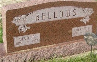 Veva Mae Boren Bellows