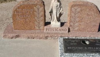 Vicenzo Procinetti Pellicano (1935380.jpg) Vicenzo Procinetti Pellicano (1935380.jpg)