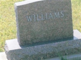 Vicki A Williams Vicki A Williams