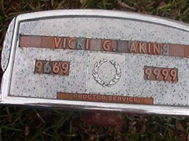 Vicki Akins