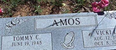 Vicki L Amos Vicki L Amos