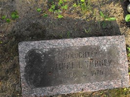 Vicki L. Turner