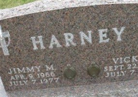 Vicki S Harney