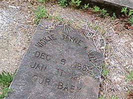 Vickie Jane Knox
