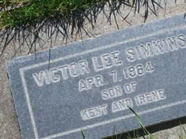 Victor Lee Simkins Victor Lee Simkins