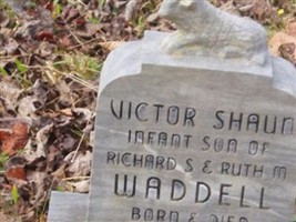 Victor Shaun Waddell Victor Shaun Waddell