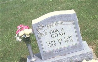Vida Ann Brown Goad