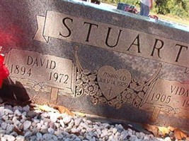 Vida Stuart