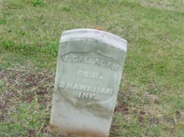 Vidal Agan