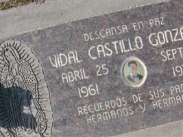 Vidal Castillo Gonzalez