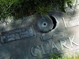 Vienna D. Clark Vienna D. Clark