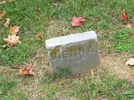 Vienna Howard Baird