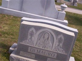 Vincent DiMauro