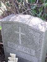 Vincent Piccione