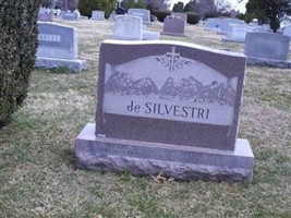Vincent S. de Silvestri Vincent S. de Silvestri