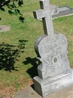 Vincenzo Del Carlo Vincenzo Del Carlo