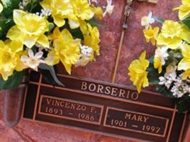 Vincenzo F Borserio