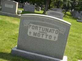 Vincenzo Fortunato Motto Vincenzo Fortunato Motto