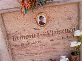 Vincenzo Iamonte
