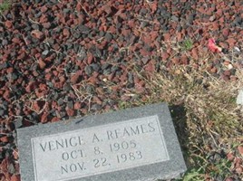 Vinice A. Reames