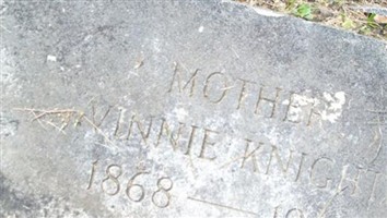 Vinnie Knight