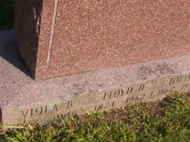 Viola B Iden Loop