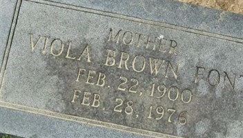 Viola Brown Font