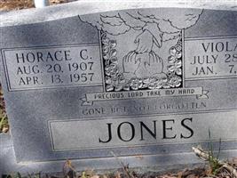 Viola E. Jones