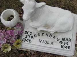 Viola Joan Rosenbaum Viola Joan Rosenbaum