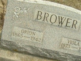 Viola L. Stubbs Brower