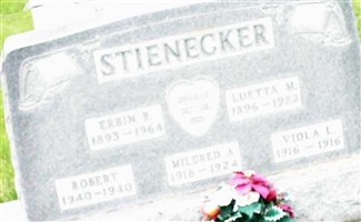 Viola Luetta Stienecker Viola Luetta Stienecker