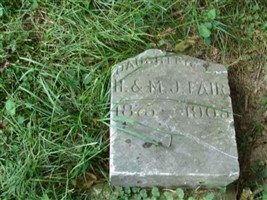 Viola McElwer Fair Viola McElwer Fair